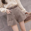 Woolen Outer Wear Wide Leg Shorts Women's Winter High Waist